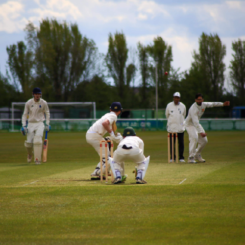 Cricket club fixture