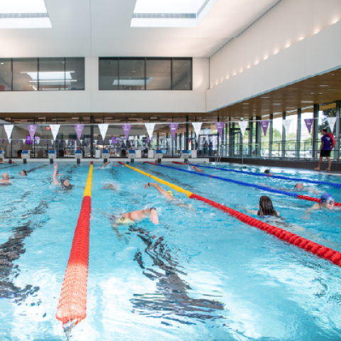 people swimming in the pool